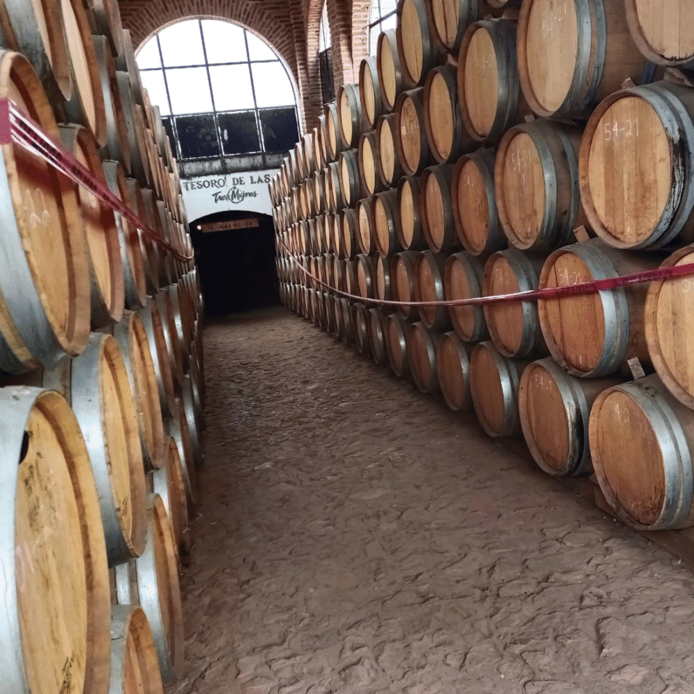 adentro de una cava lleno de barriles