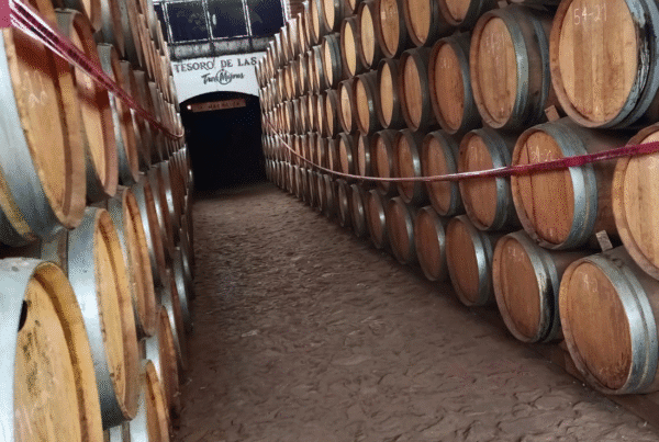adentro de una cava lleno de barriles